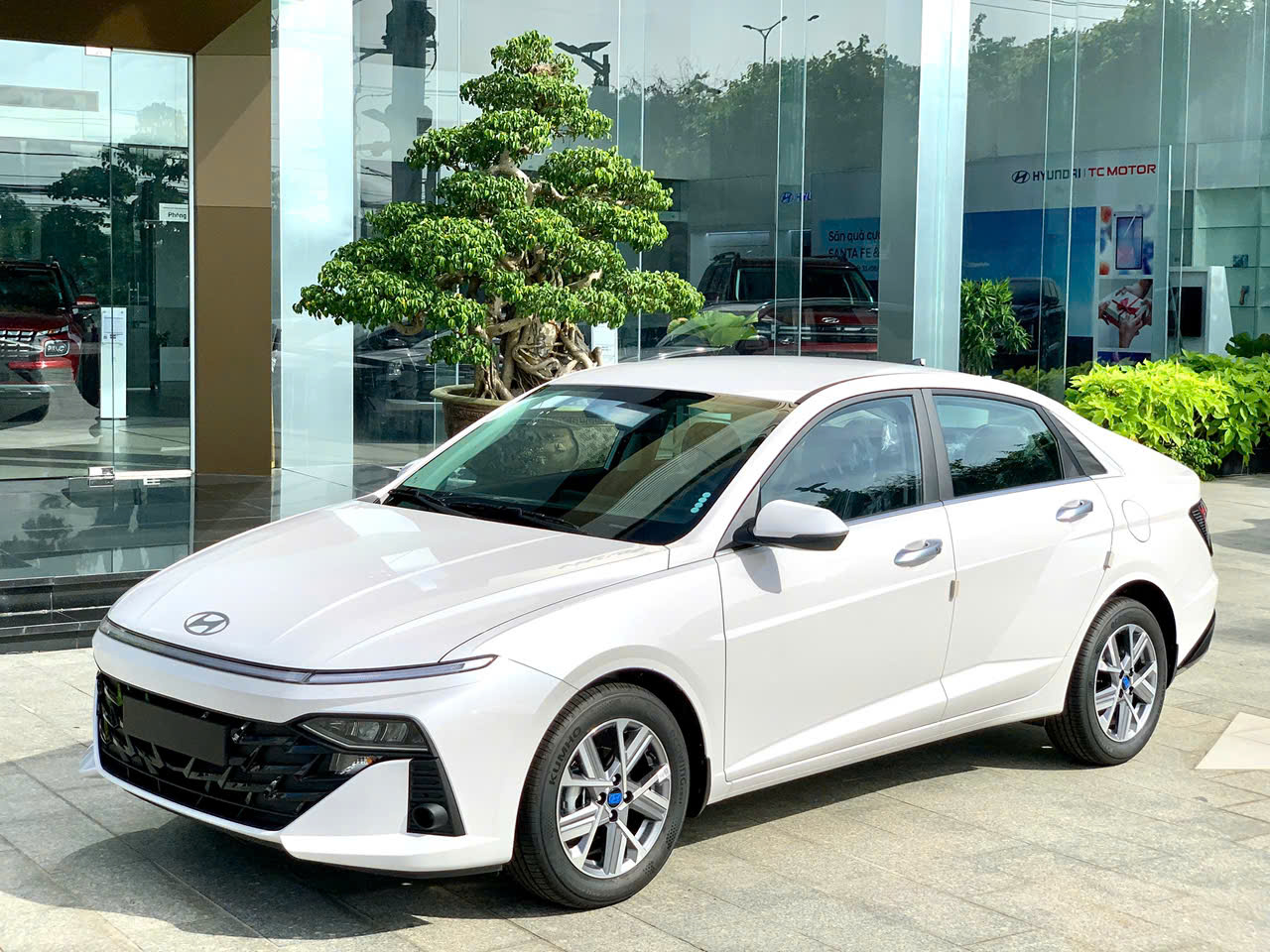 z6924764542414_a260b50a78a43733319567a0ed736bd0